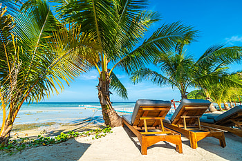Tropical beach, Summer, Palm trees, Sand, Shore HD wallpaper