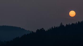 Landscape, Night, Moon, Dark, Forest HD wallpaper