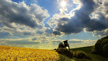 Nature, Sky, Sun, Clouds, Field, Booth HD wallpaper