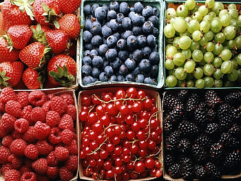 Fruits, Food, Background, Berries HD wallpaper