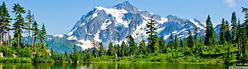 Nature Dual Monitor, 3840x1080 Green HD wallpaper
