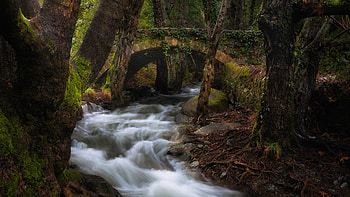green trees waterfall Stream Bridge Above Water in forest Background Nature HD wallpaper