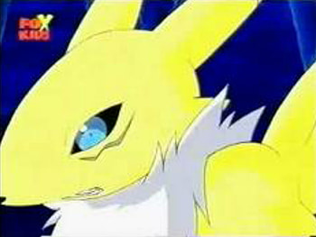 Renamon attack, n, e, renamon, r HD wallpaper