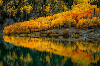 Golden autumn, Forest, Shore, Trees, Lake, Reflection HD wallpaper