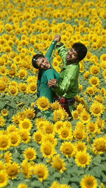 Villu, vijay, nayantara HD phone wallpaper