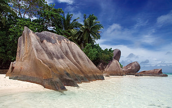 Landscape, Stones, Sea, Beach, Palms HD wallpaper