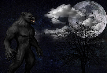 Art, Night, Grin, Starry Sky, Full Moon, Monster, Werewolf HD wallpaper