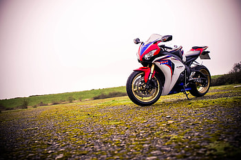 vehicle, Honda CBR1000RR HD wallpaper