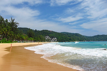 Beach, Nature, Sea, Sand, Palms, Tropics, Surf HD wallpaper