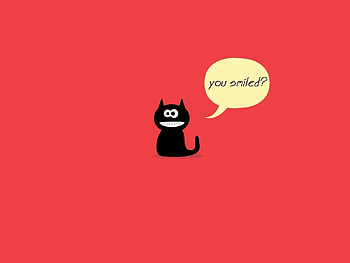 Words, Cat, , Drawing HD wallpaper