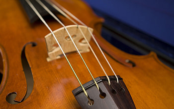 Viola music, Viola , Soulful melodies, Captivating strings HD wallpaper