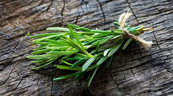 Rosemary versatility, Culinary delight, Medicinal herb, Fragrant foliage HD wallpaper