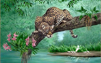 Ready to pounce, ready, leopard, pounce, flowers, stork, lake, tree HD wallpaper