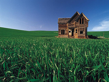 Wood house, natural, wood-house HD wallpaper