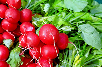 Red radish, Fresh vegetable, , Peakpx HD wallpaper