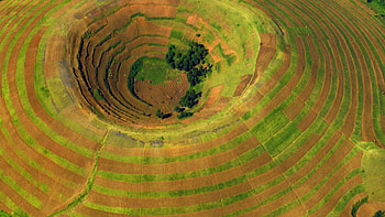 Uganda travels, , Terrace farmed volcano, Kisoro HD wallpaper