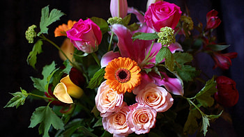 Flowers, Bright, Petals, Bouquet HD wallpaper