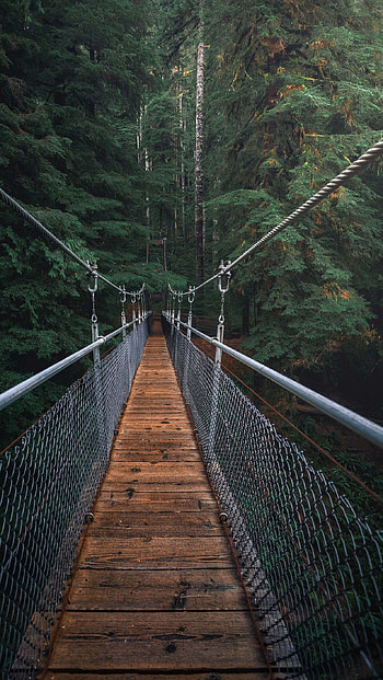 Travels, Bridge, Hanging Bridge, 12 HD phone wallpaper