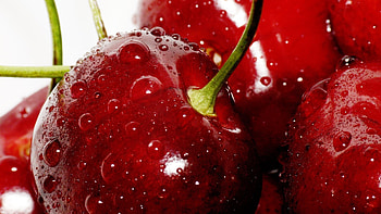 Fresh cherries, Vibrant backgrounds, delight, Visual feast HD wallpaper