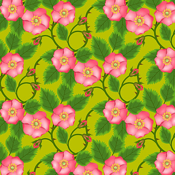 Flowers, Pink, Patterns, Vector HD phone wallpaper