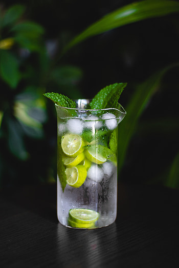 Food, Ice, Lemon, Drink, Beverage, Mint, Mojito HD phone wallpaper