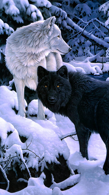 Wolves in Winter Forest, winter, snow, Animal, wolf, winter animals HD phone wallpaper