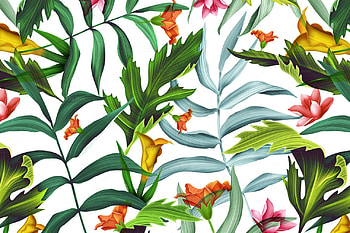 Texture, summer, flower, green, exotic, leaf, paper, pattern HD wallpaper