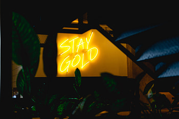Leaves, Words, Wall, Neon, Backlight, Illumination, Inscription HD wallpaper