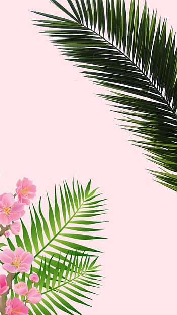 palm tree, Christopher Simpson's collection, Nature's bliss, Sunset hues HD phone wallpaper