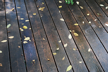 Autumn, Leaves, Rain, Miscellanea, Miscellaneous, Morning, Floors HD wallpaper