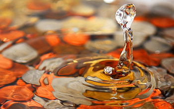 A drop, drop, water HD wallpaper