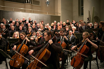 Orchestra , Symphony ensemble, Musical spectacle, Harmonious collaboration HD wallpaper