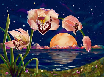 ORCHID IN MOONLIGHT, NIGHT, SKY, FLOWERS, ORCHIDS, STARS, REFLECTION, MOONLIGHT HD wallpaper