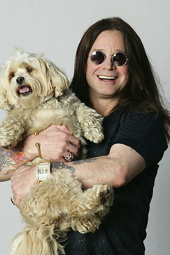 Ozzy Osbourne, Dave Hogan hoot, Fanpop favorite, Memorable HD phone wallpaper