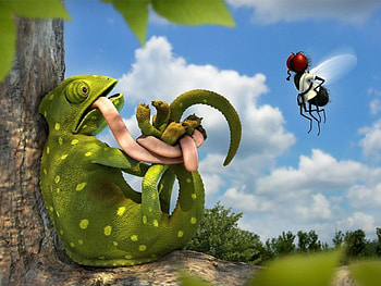 Funny, Lizards HD wallpaper