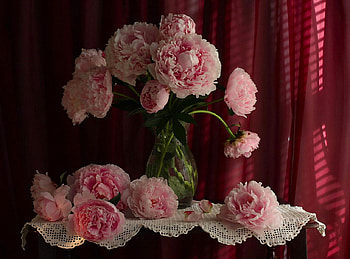 still life, bouquet, gentle, graphy, peony, vase, beautiful, lace, nice, pink, flower, cool, flowers, , harmony HD wallpaper