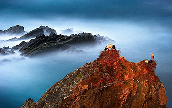 storks nesting on mountain peaks, birds, peaks, nests, clouds, mountains HD wallpaper