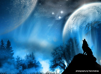 howling wolve, nature, fantasy, wolve, moon HD wallpaper