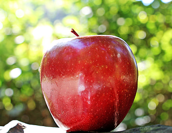 Food, Apple, Close-Up, Fruit, Ripe HD wallpaper