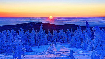Winter sunrise at the Harz Mountains, Germany, snow, winter, colors, landscape, trees, sky HD wallpaper