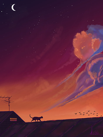 Birds, Art, Night, Dark, Cat, Roof HD phone wallpaper