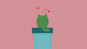 Catctus, plant, minimal, cat shape HD wallpaper