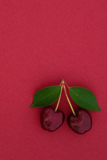 Sweet Cherry, Food, Cherry, Leaves, Berry HD phone wallpaper