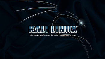 Kali Linux HD wallpaper