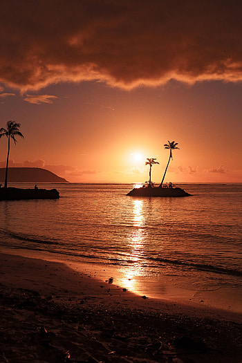 Nature, Sunset, Sea, Beach, Palms, Island HD phone wallpaper