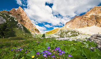 spring hills, flowers, hills, spring, mountains HD wallpaper