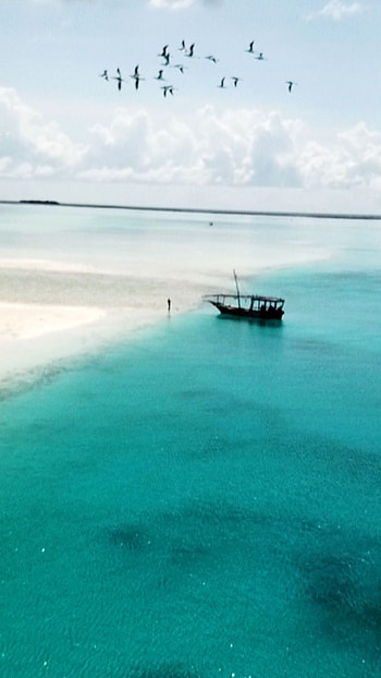 Zanzibar escape, Island paradise, Dream vacation, Unforgettable experience HD phone wallpaper
