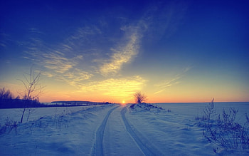 Winter in Sombor Serbia, winter, snow, cold, sky, nature, sunset HD wallpaper