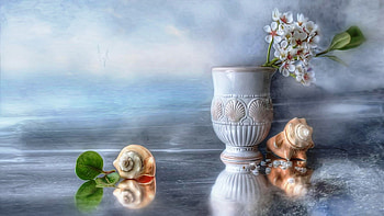 Life Style, birds, awesome, beaches, artistic, nice, background, petals, foggy, mirror, shell, collocation, leaves, ripples, paisage, foliage, porcelain, graphy, morning, beauty, mist, formation, abstract, reflection, paysage, sea, madreperola, 3d and cg, mother of pearl, pearl-shell, seagulls, life, style, plants, , pc, nacre, antique vase, waves, fog, magical, gulls, reflex, art, landscape, style, view, tidiness, leaf, , oceans, disposition, seascape, , amazing, water, table, magic, beautiful, arrangement, , artwork, hop, cool, clouds, paisagem, sky, flowers HD wallpaper