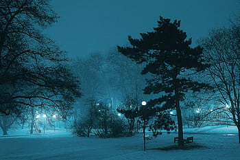 Serene winter night scene with trees and lampposts illuminating snow in a misty park. HD wallpaper